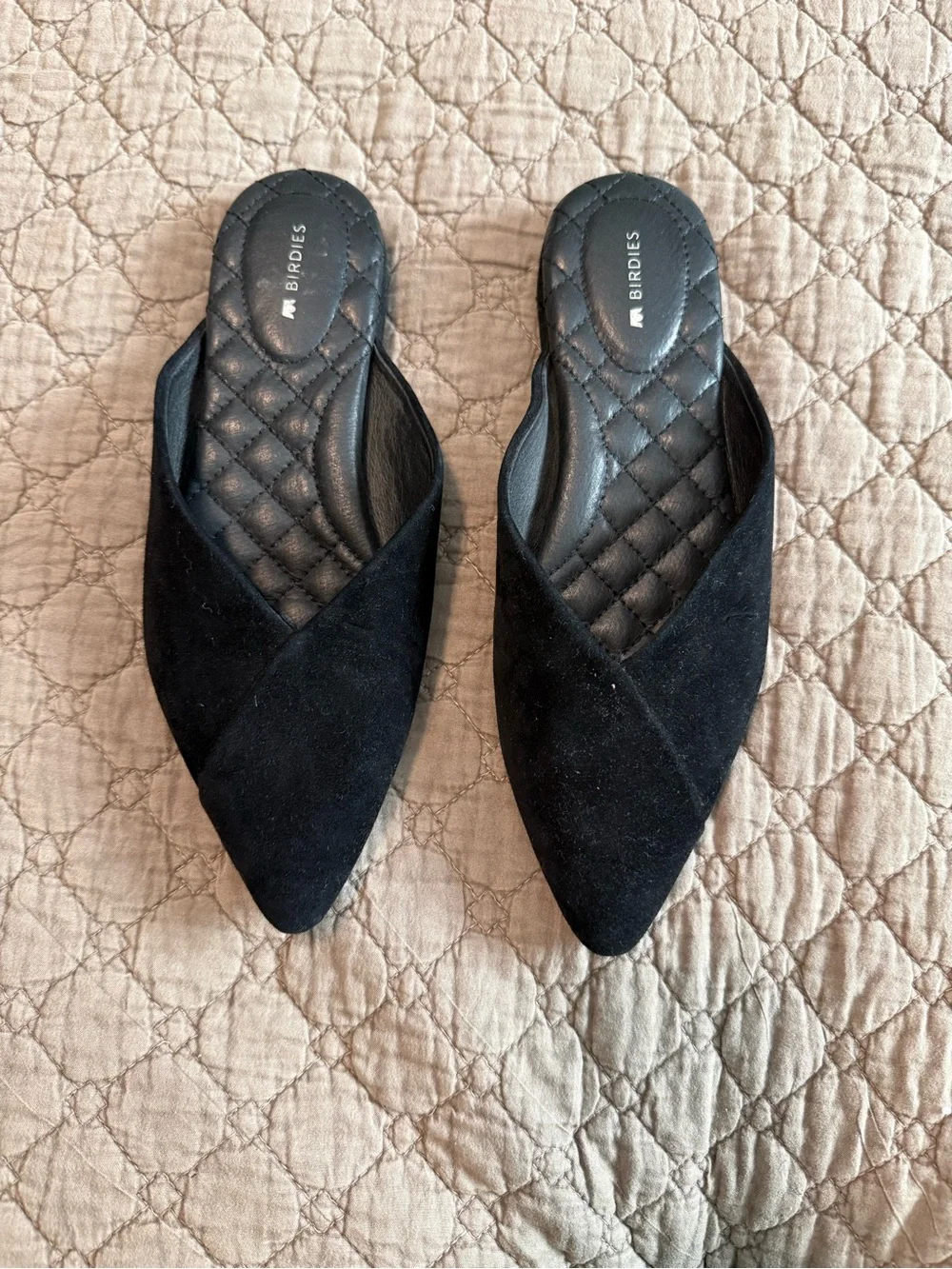 Birdies Black Suede Pointed Mule Flats